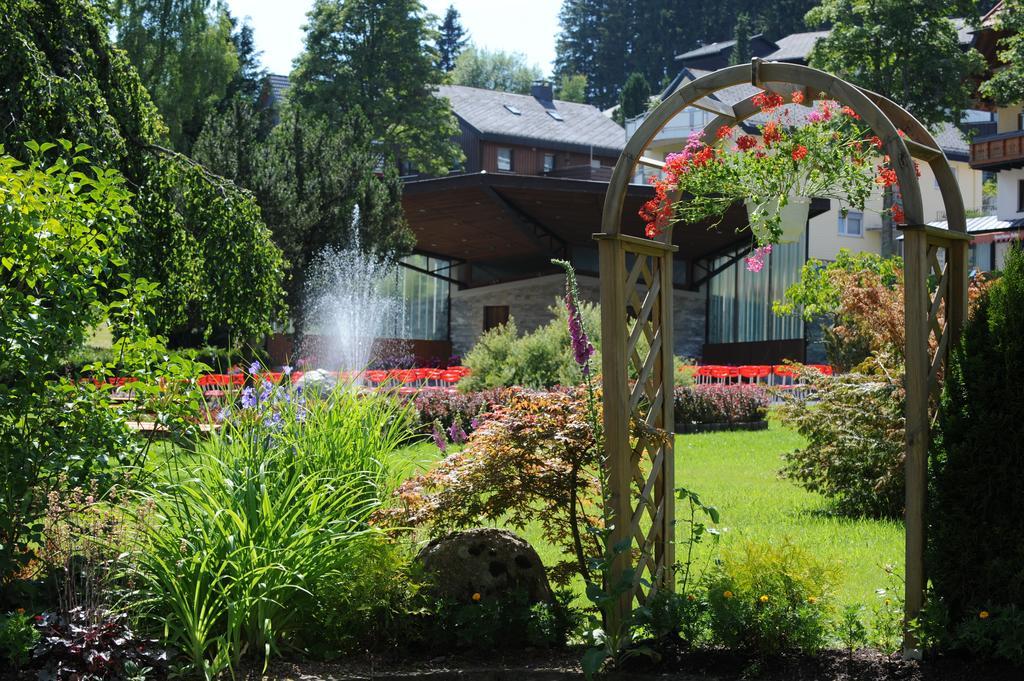 Schwarzwaldtanne Schoenwald im Schwarzwald